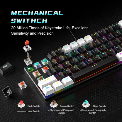 BD61S 61Keys Red Blue Brown Switch RGB lighting Mechanical keyboard