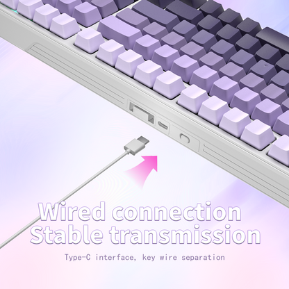 ZT99 PBT Translucent keycaps Gsaket framework hot-swap USB RGB Led Backlit Gaming Mechanical Keyboard 99KEYS