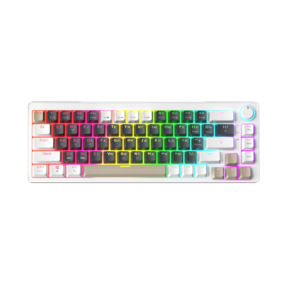 AG68 67 Keys with knob Hot-Swappable Switch ABS Keycap Rainbow Bcaklit Gasket Structure Wire N-Keys Rollover Gaming Mechanical Keyboard