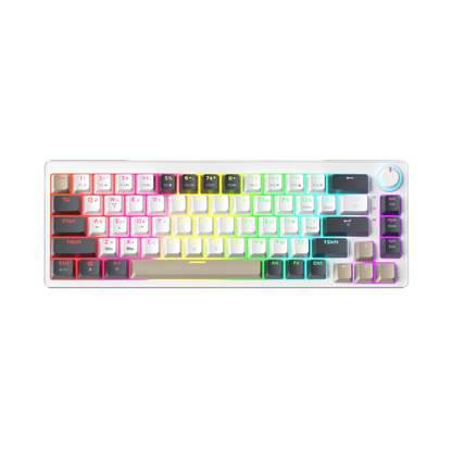 AG68 67 Keys with knob Hot-Swappable Switch ABS Keycap Rainbow Bcaklit Gasket Structure Wire N-Keys Rollover Gaming Mechanical Keyboard