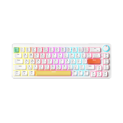 AG68 67 Keys with knob Hot-Swappable Switch ABS Keycap Rainbow Bcaklit Gasket Structure Wire N-Keys Rollover Gaming Mechanical Keyboard