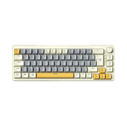 AG68 67 Keys with knob Hot-Swappable Switch ABS Keycap Rainbow Bcaklit Gasket Structure Wire N-Keys Rollover Gaming Mechanical Keyboard