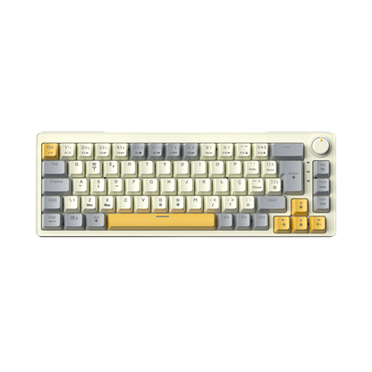AG68 67 Keys with knob Hot-Swappable Switch ABS Keycap Rainbow Bcaklit Gasket Structure Wire N-Keys Rollover Gaming Mechanical Keyboard