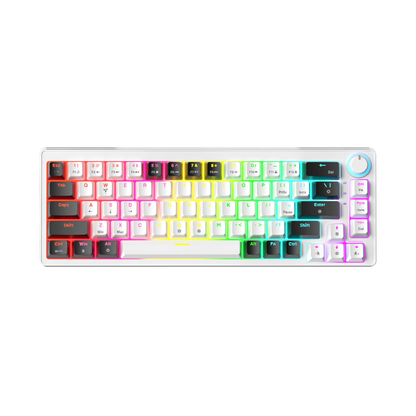 AG68 67 Keys with knob Hot-Swappable Switch ABS Keycap Rainbow Bcaklit Gasket Structure Wire N-Keys Rollover Gaming Mechanical Keyboard