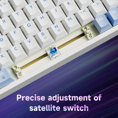 AG98 97 Keys with knob Hot-Swappable Switch ABS Keycap Rainbow Bcaklit Gasket Structure Wire N-Keys Rollover Gaming Mechanical Keyboard