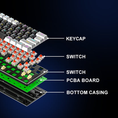 BD61S 61Keys Red Blue Brown Switch RGB lighting Mechanical keyboard