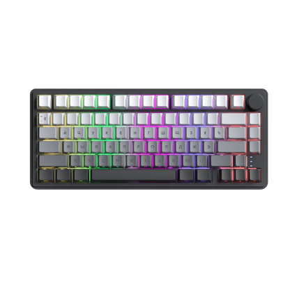CYBERLYNK RX75 Wired 80Keys Hot-Swappable Switch PBT Keycap RGB Bcaklit Gasket Structure N-Keys Rollover Gaming Mechanical Keyboard with knob ( Russian Layout )