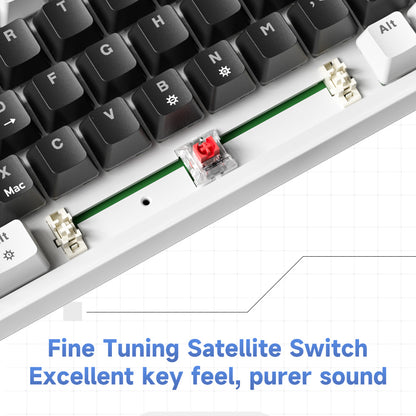 AG68 67 Keys with knob Hot-Swappable Switch ABS Keycap Rainbow Bcaklit Gasket Structure Wire N-Keys Rollover Gaming Mechanical Keyboard